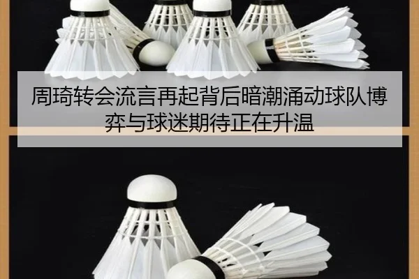 周琦转会流言再起背后暗潮涌动球队博弈与球迷期待正在升温